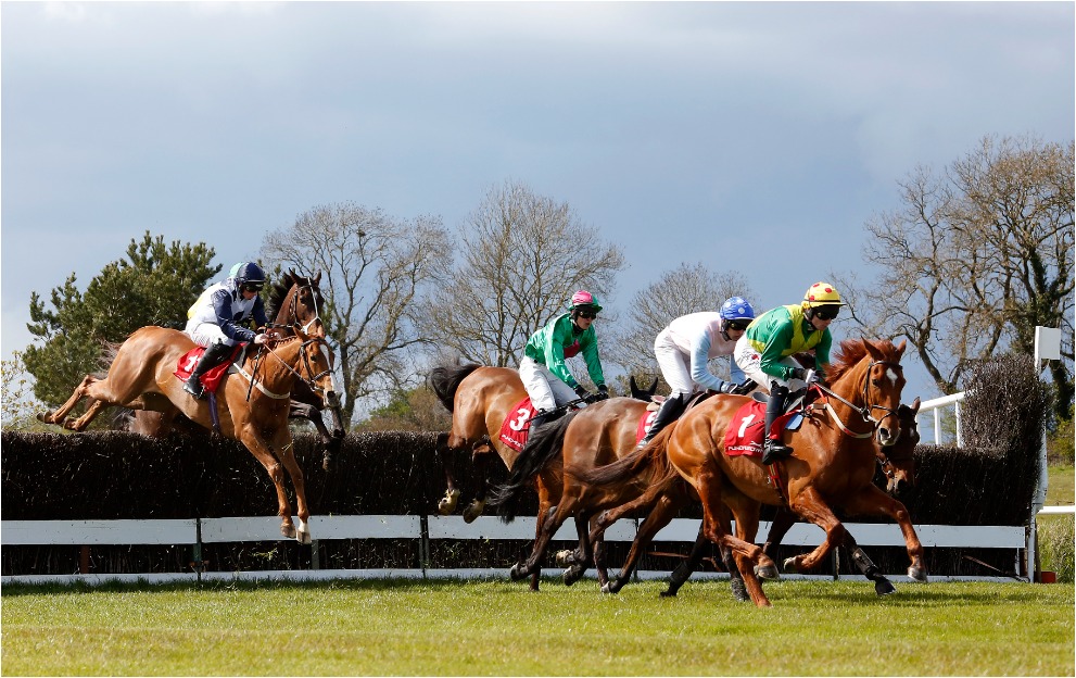 Horses jump a fence at Punchestown Racecourse