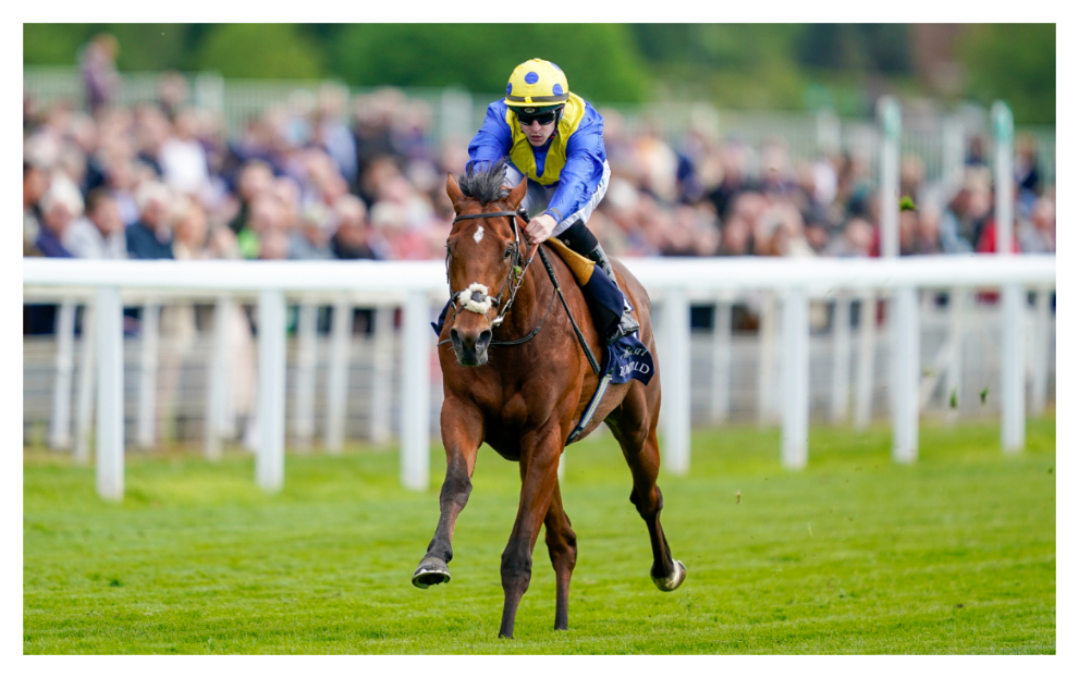 Desert Crown wins the Derby at Epsom