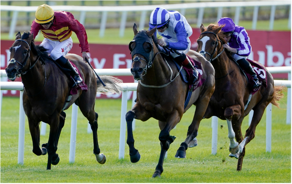 Curragh Paddy Power News