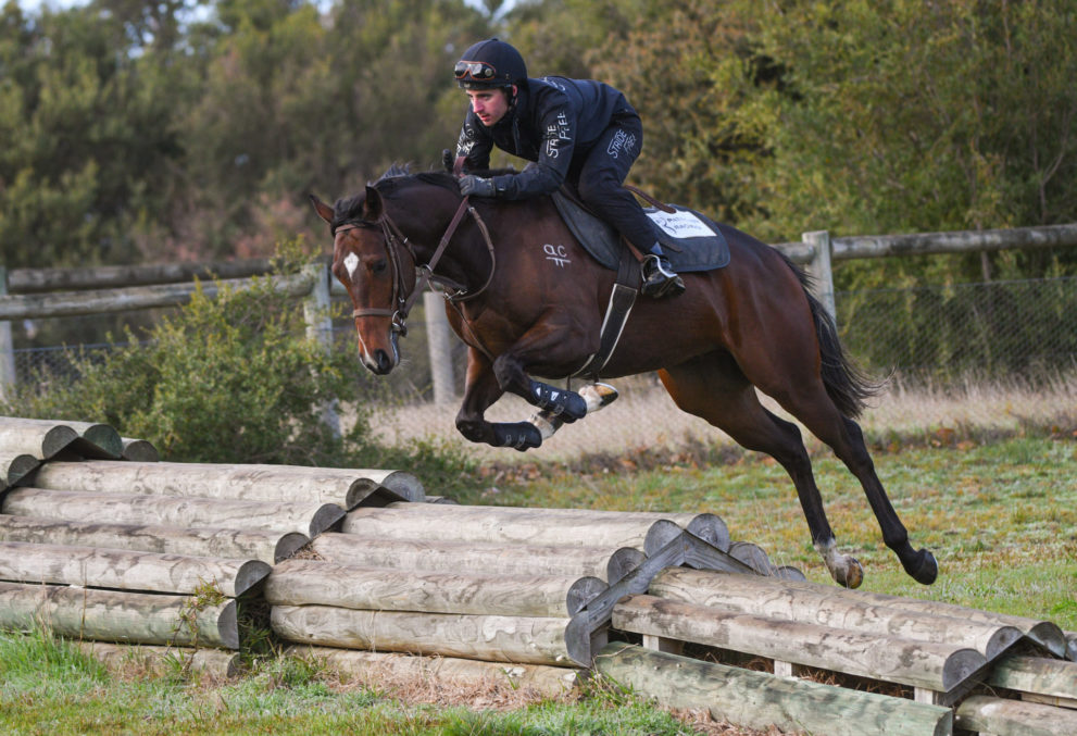 horse racing schooling