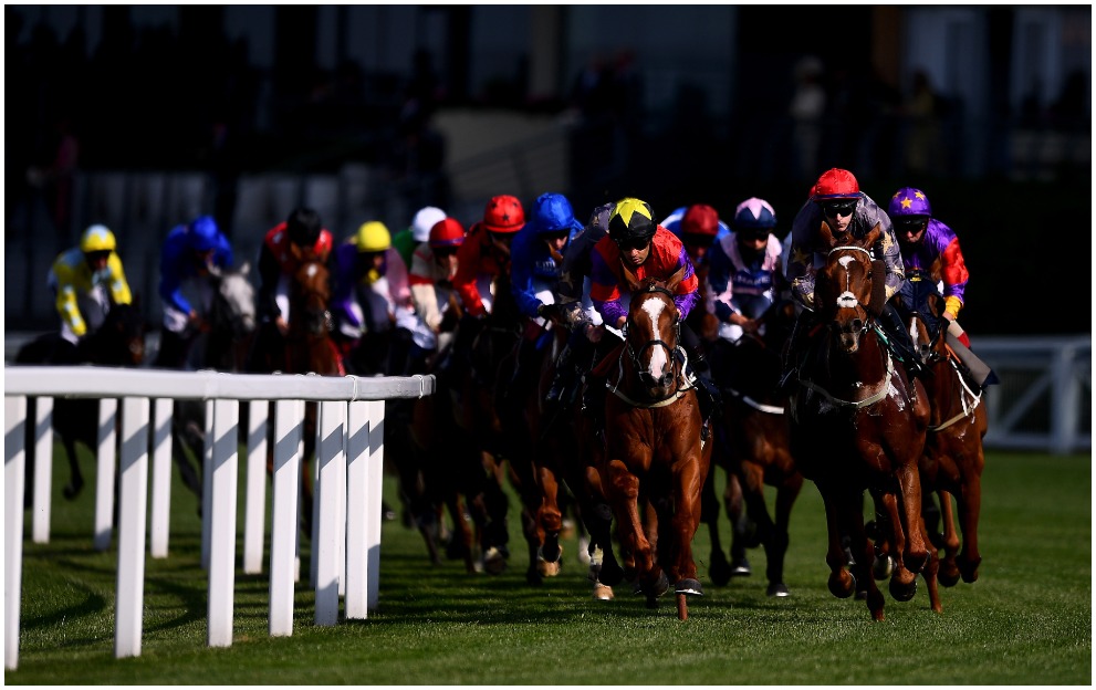 Royal Ascot runners