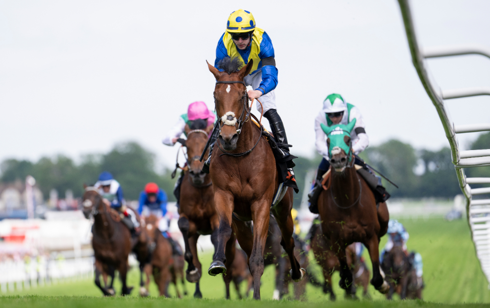 Desert Crown wins the Epsom Derby