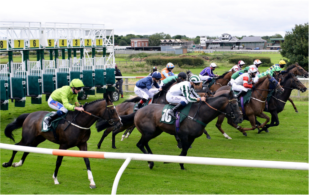 Catterick Flat racing