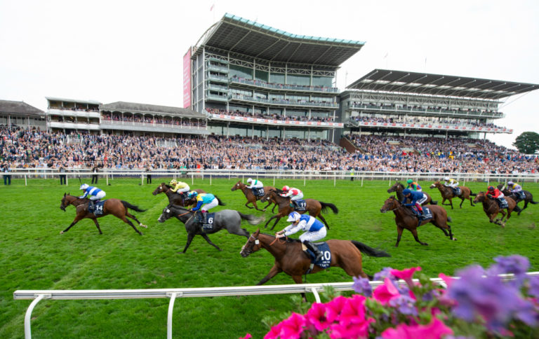 Horses racing at the York Ebor Festival