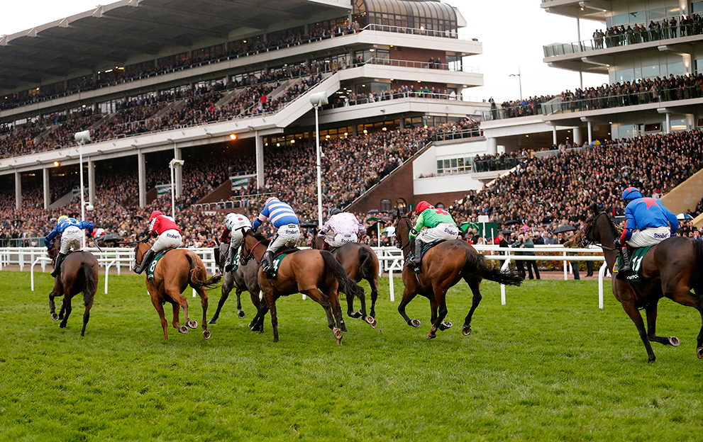Cheltenham Racecard: Your ultimate guide to Tuesday’s 7 races – Paddy ...