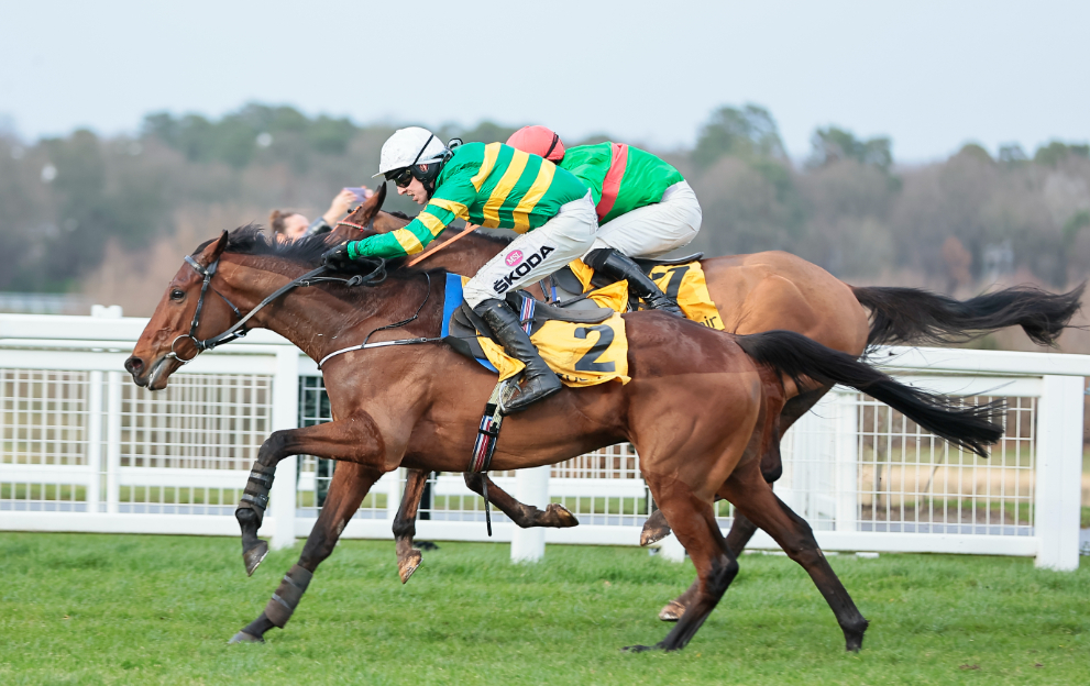 When is the Ascot Chase 2024? Ascot date, start time, runners and betting