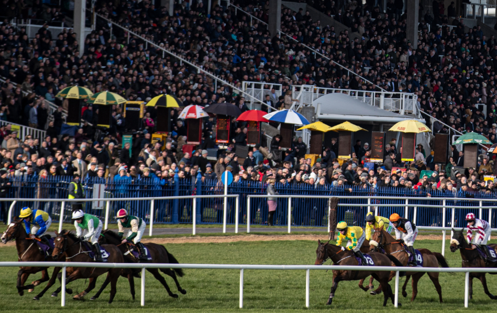 Dublin Racing Festival Leopardstown Jumps racing