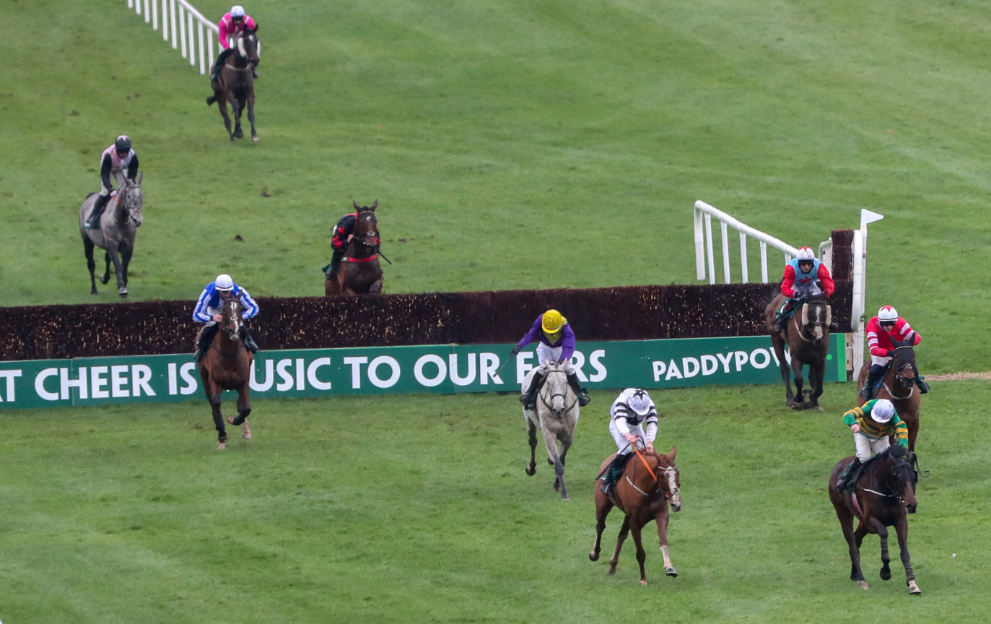 Horse racing at Leopardstown