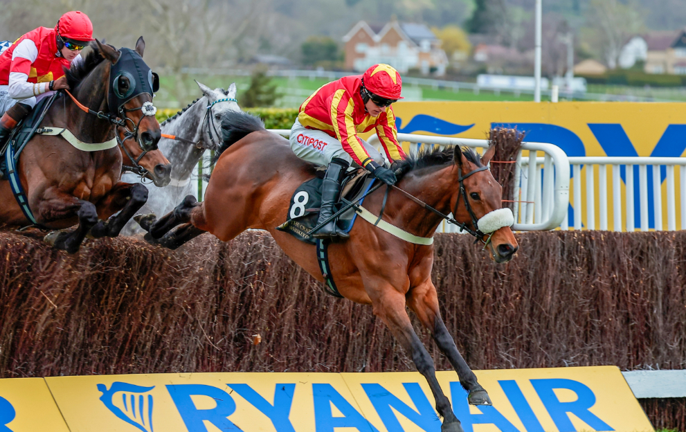 Coole Cody wins the Plate Handicap Chase at Cheltenham