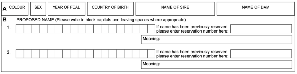 Horse racing names form