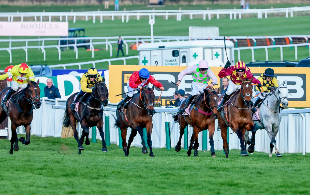 Horses race in the Cheltenham Gold Cup