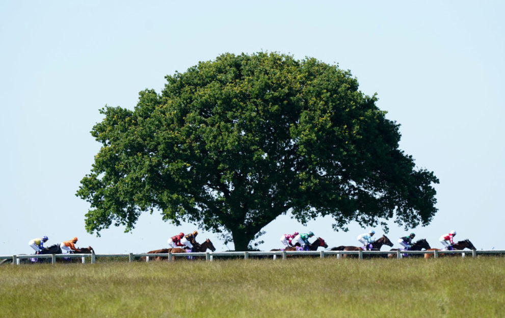 Uk racecourses