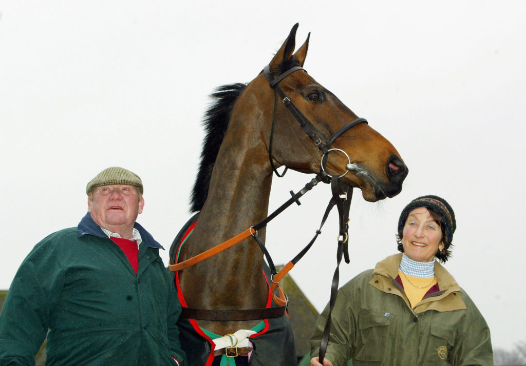 Best Racehorse of All Time – A Legend on the Track