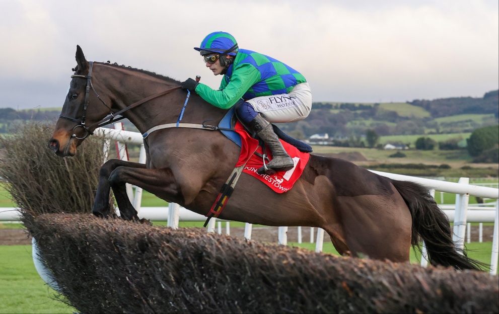 Appreciate It jumps a fence at Punchestown