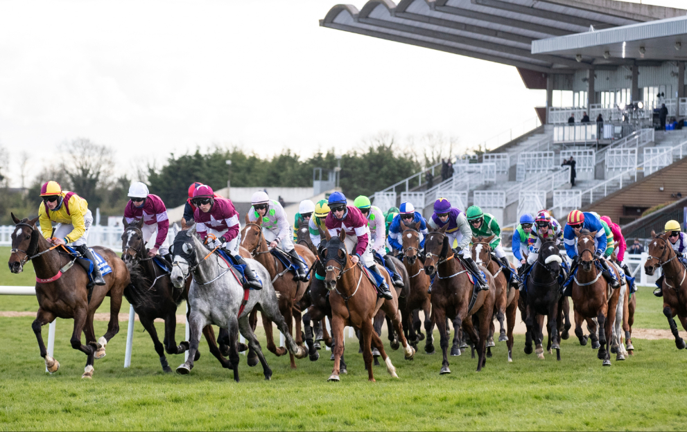 Lucky 15 Tips Today: Tuesday’s best bets across the tracks using our NAPs table