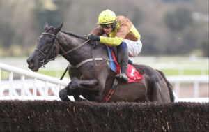 Galopin Des Champs jumps a fence at Punchestown