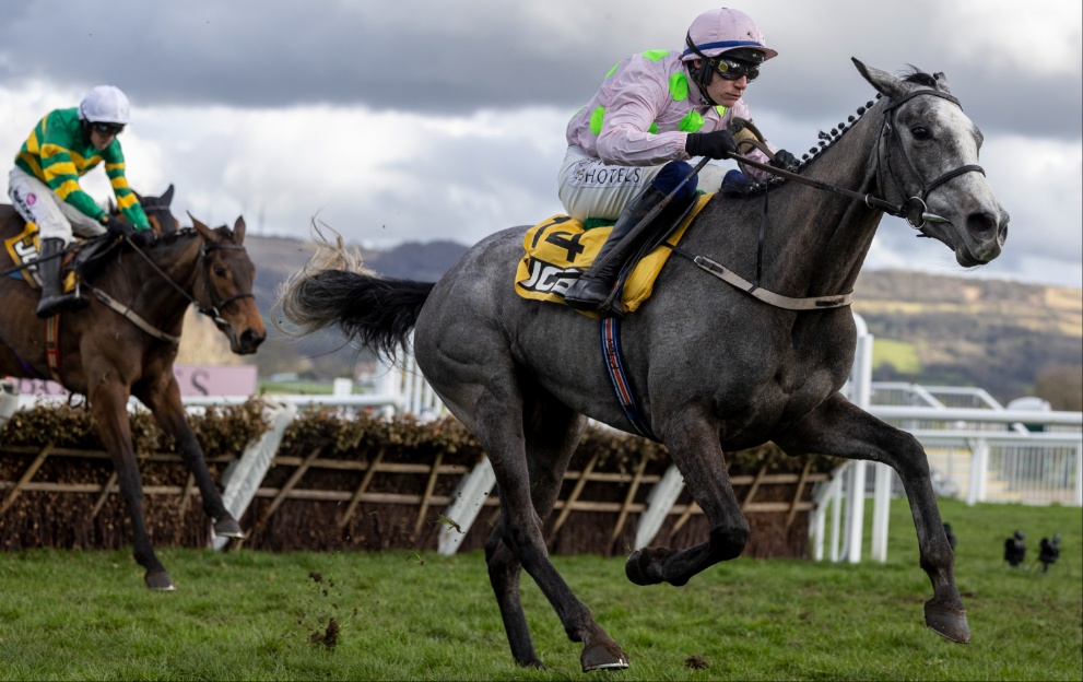 Lossiemouth wins the Triumph Hurdle