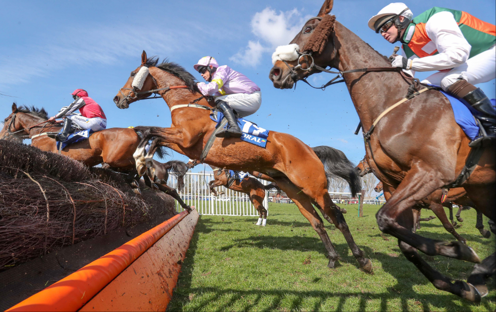 Scottish Grand National runners at Ayr