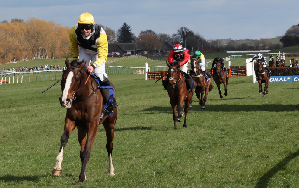 Win My Wings wins the Scottish Grand National