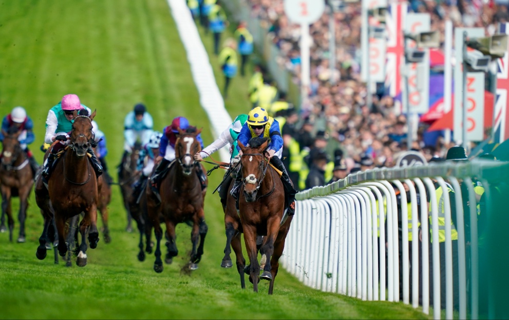 Desert Crown wins the Epsom Derby