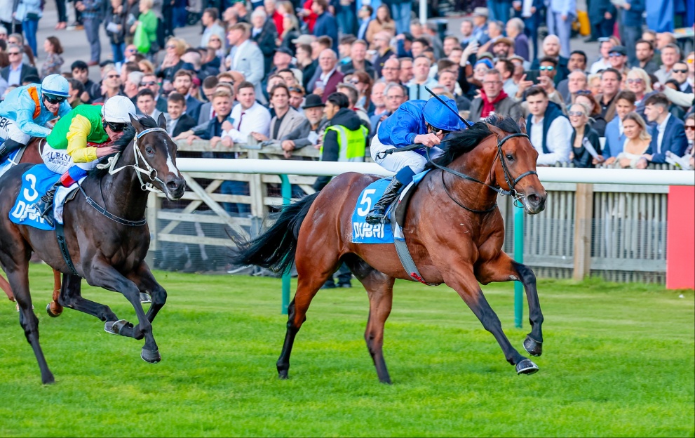 Flying Honours wins the Zetland Stakes