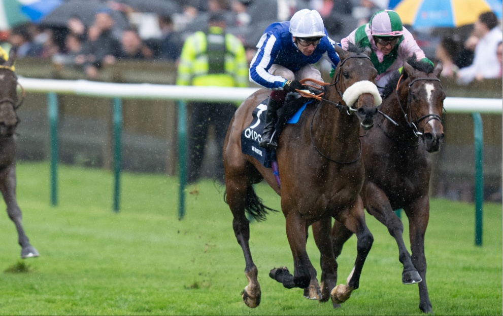 Hi Royal and Royal Scotsman battle it out in the 2000 Guineas