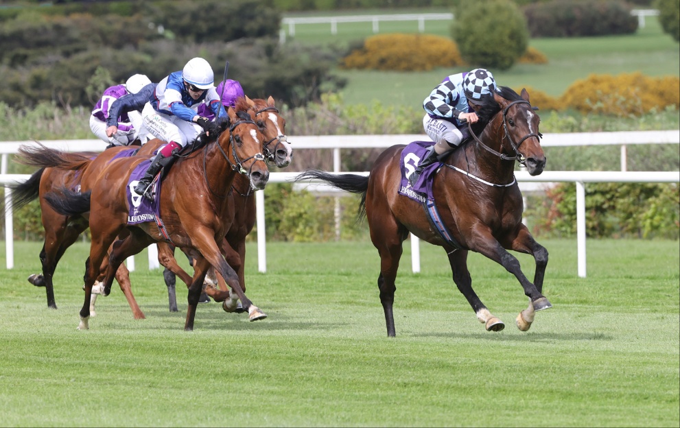 Sprewell wins the Leopardstown Derby Trial