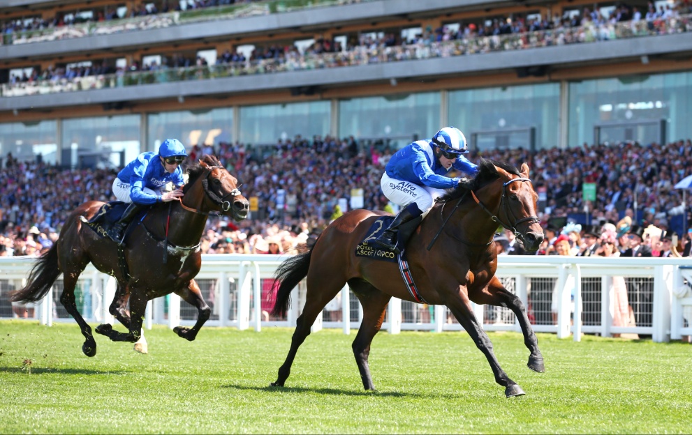 Baaeed wins at Royal Ascot