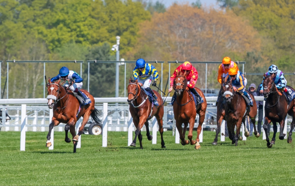 Coltrane wins at Ascot