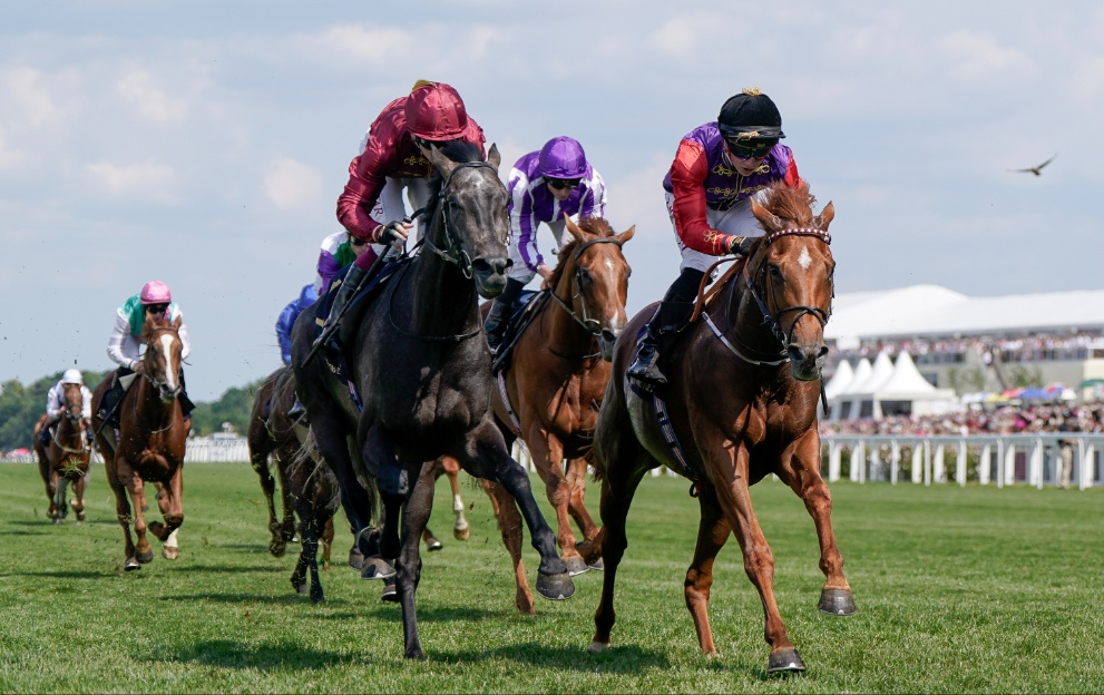does-king-charles-have-horses-running-at-royal-ascot-today-paddy