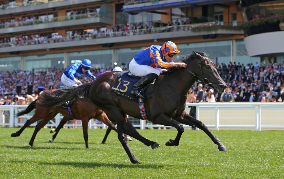 Meditate wins at Royal Ascot