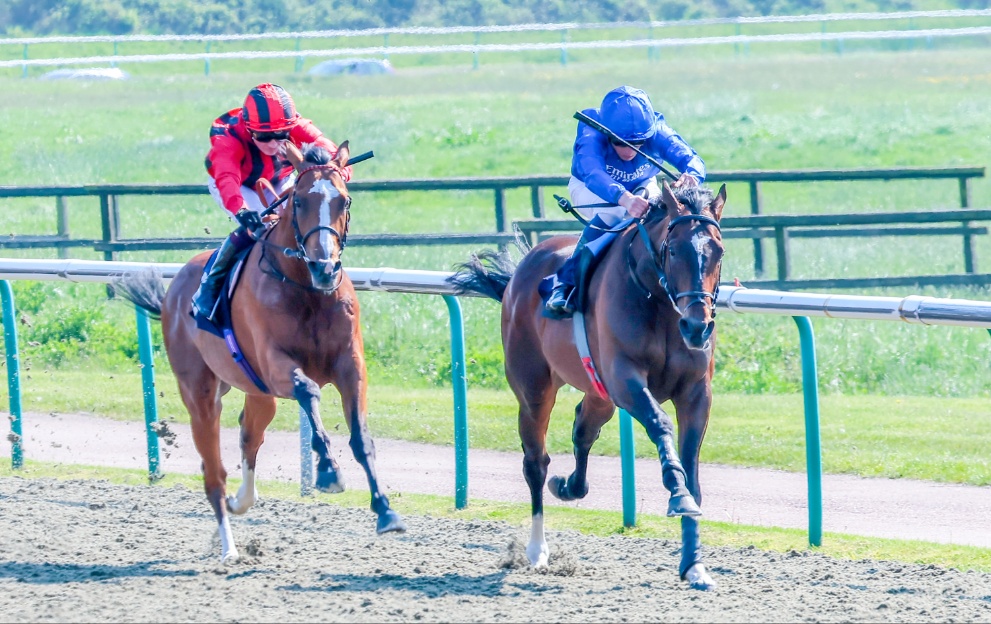 Military Order wins the Lingfield Derby Trial