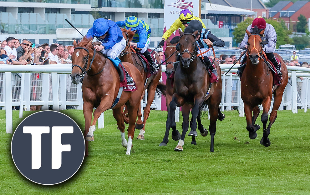 Timeform Daily View Tips Horse Racing Tips: Timeform’s Saturday shouts at Newbury – Paddy Power News