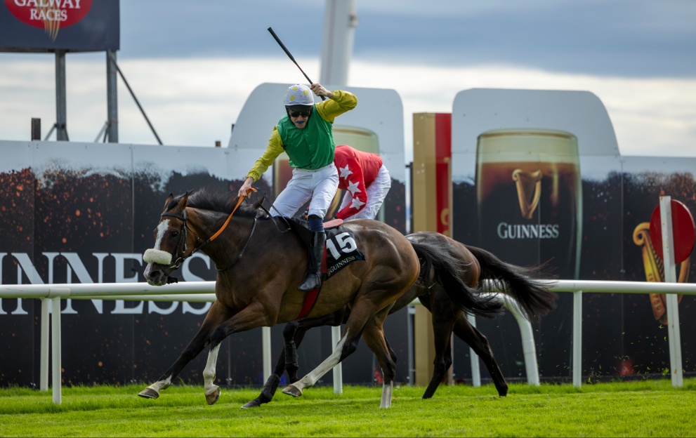 Tudor City wins the Galway Hurdle