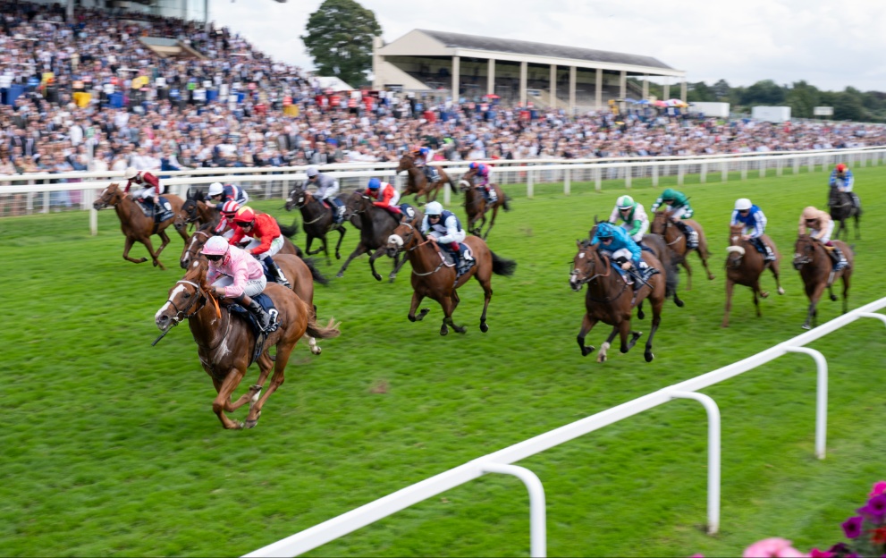 Live In The Dream wins the Nunthorpe Stakes