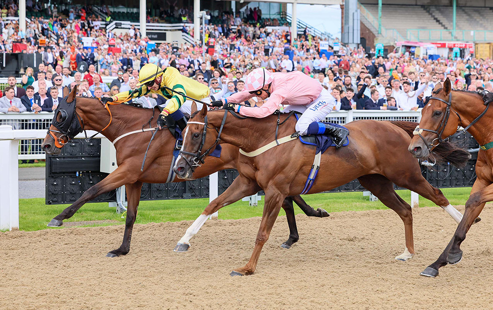 Horse Racing Tips: A 7/1 play leads Tuesday’s Newcastle picks