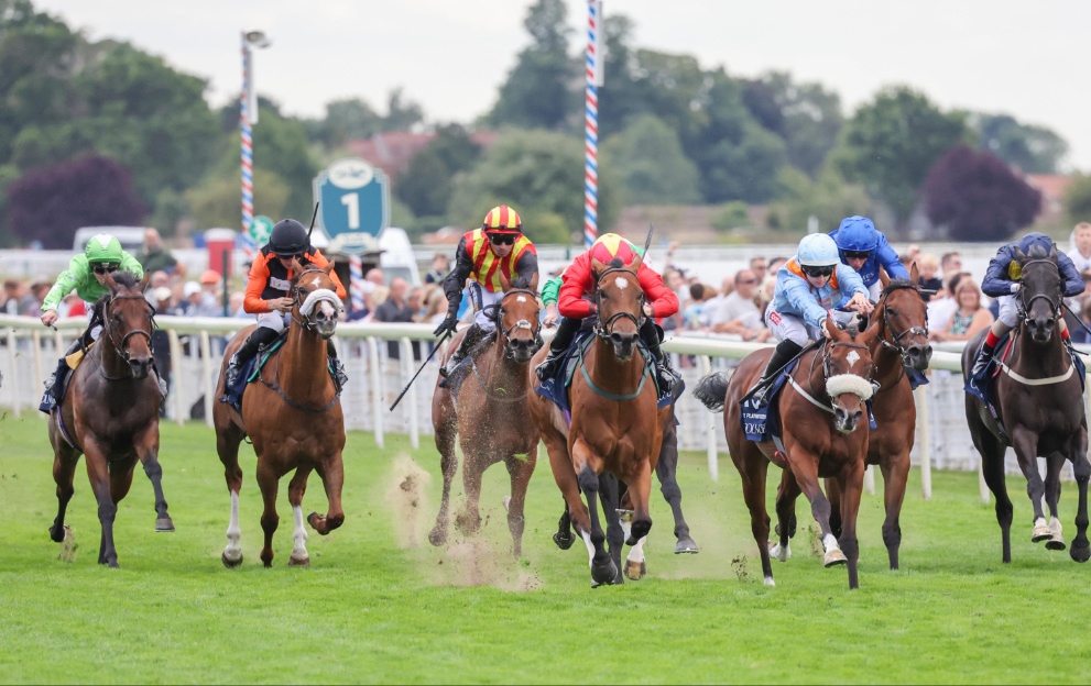 Highfield Princess wins the Nunthorpe Stakes