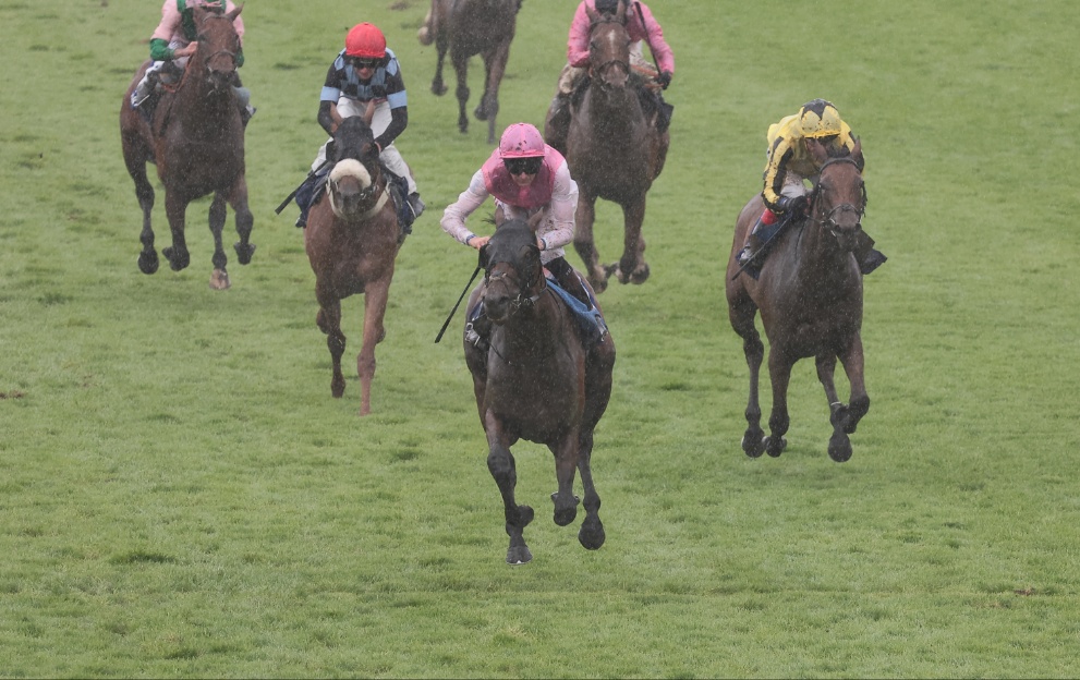 Ebor Handicap Tips And Runners Guide To York 3 35 On Saturday ebor-handicap-tips-and-runners-guide-to-york-3-35-on-saturday