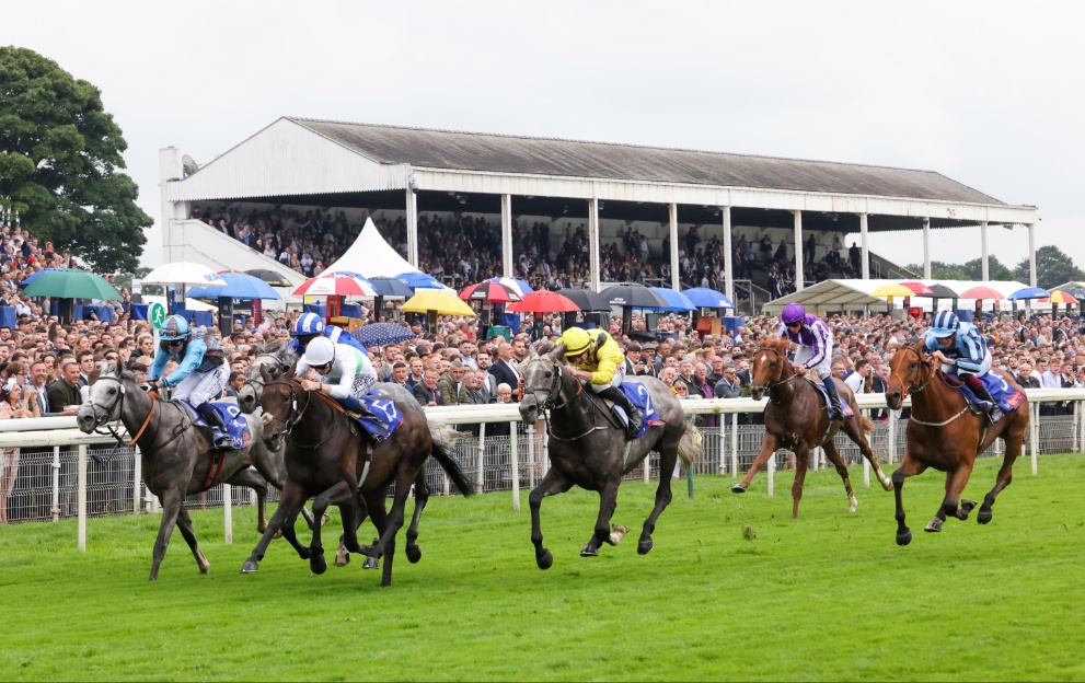 Horses racing at York