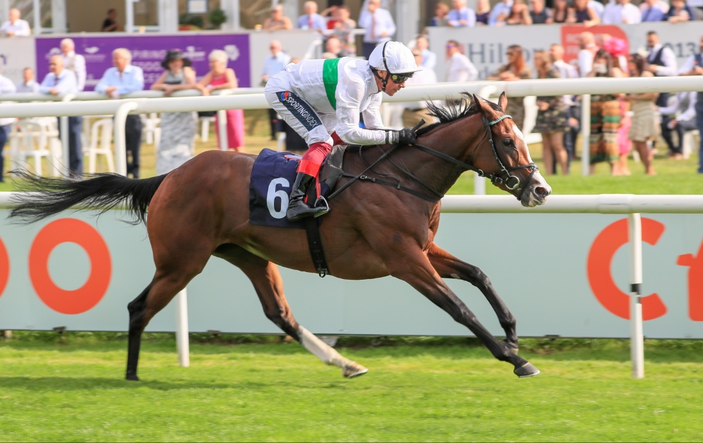 Frankie Dettori riding Free Wind