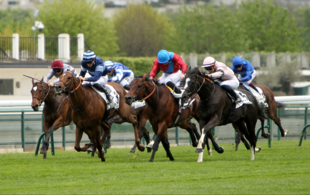 Prix de l Arc de Triomphe 2023 form lines Longchamp draw bias