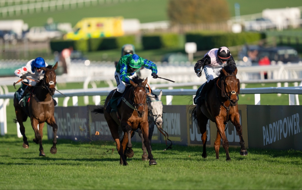 Ga Law beats French Dynamite in the Paddy Power Gold Cup 2022