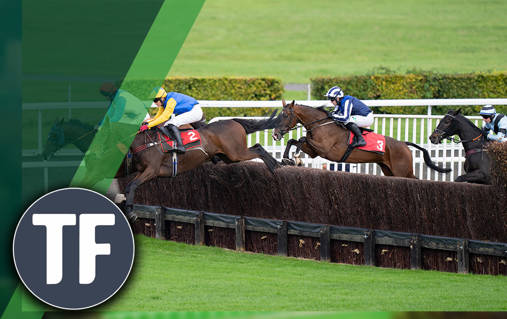 Horse Racing Tips: Timeform’s Sunday Picks over the jumps at Kempton features an 11/2 shout