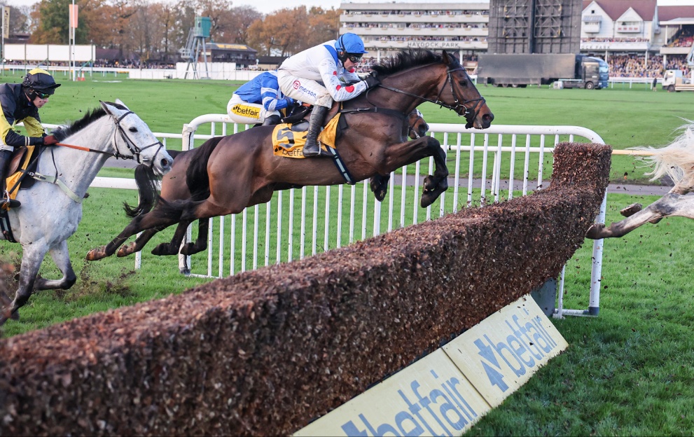 Protektorat jumps a fence in the Betfair Chase