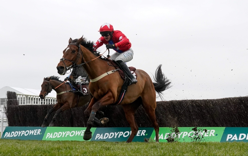 Haldon Gold Cup tips and runners guide to Exeter 3.30 on Friday