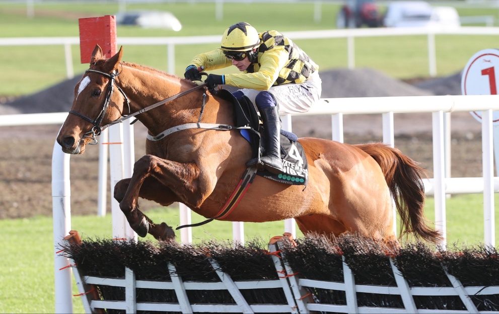 State Man jumps a flight in the Morgiana Hurdle