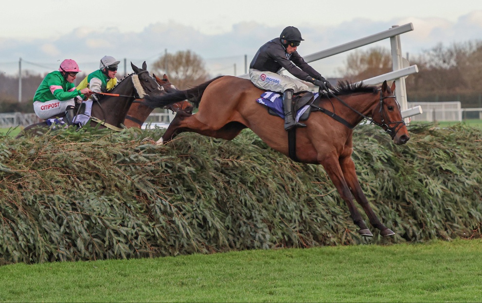 Ashtown Lad jumps a fence at Aintree in the Becher Chase