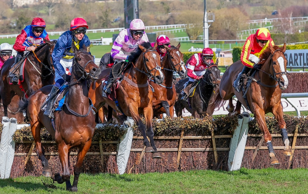 Stay Away Fay wins the Albert Bartlett Novices' Hurdle in 2023