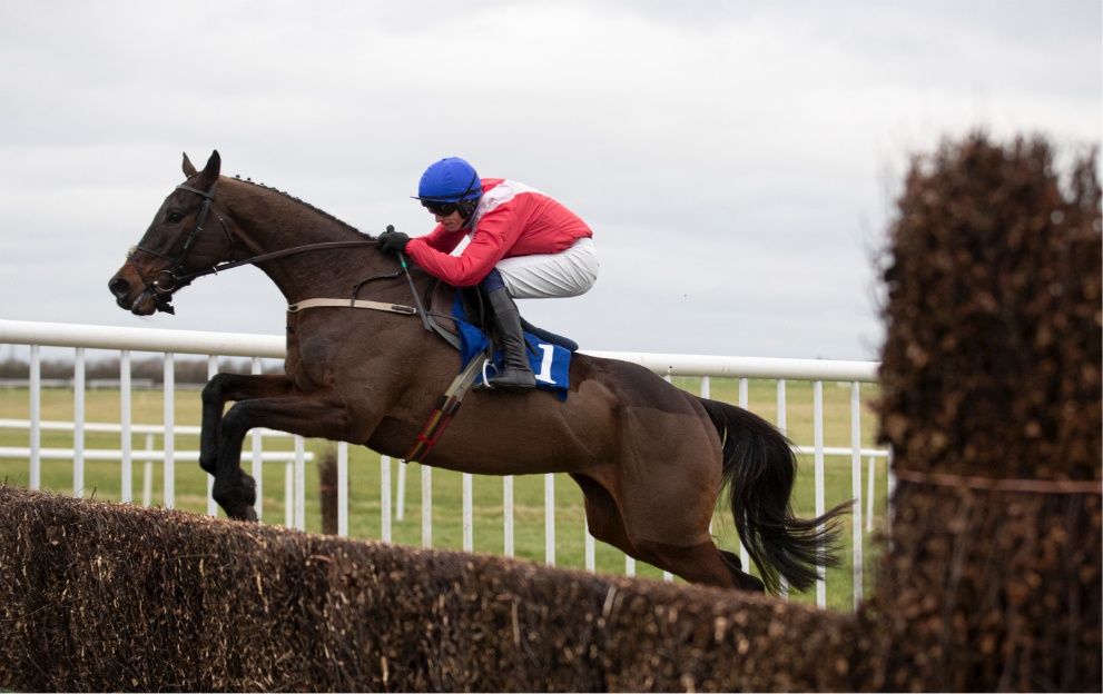 Allaho jumping a fence at Thurles