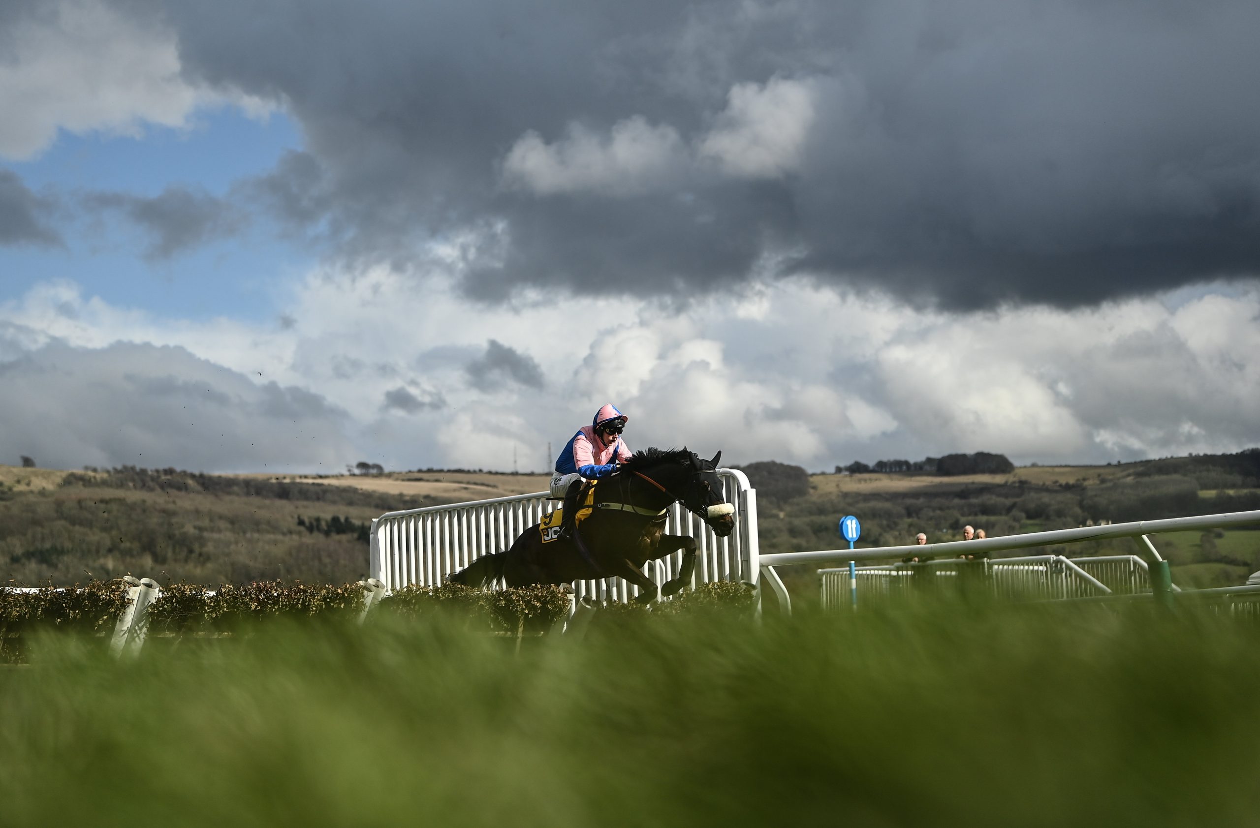 Cheltenham Racing Festival - Day Four